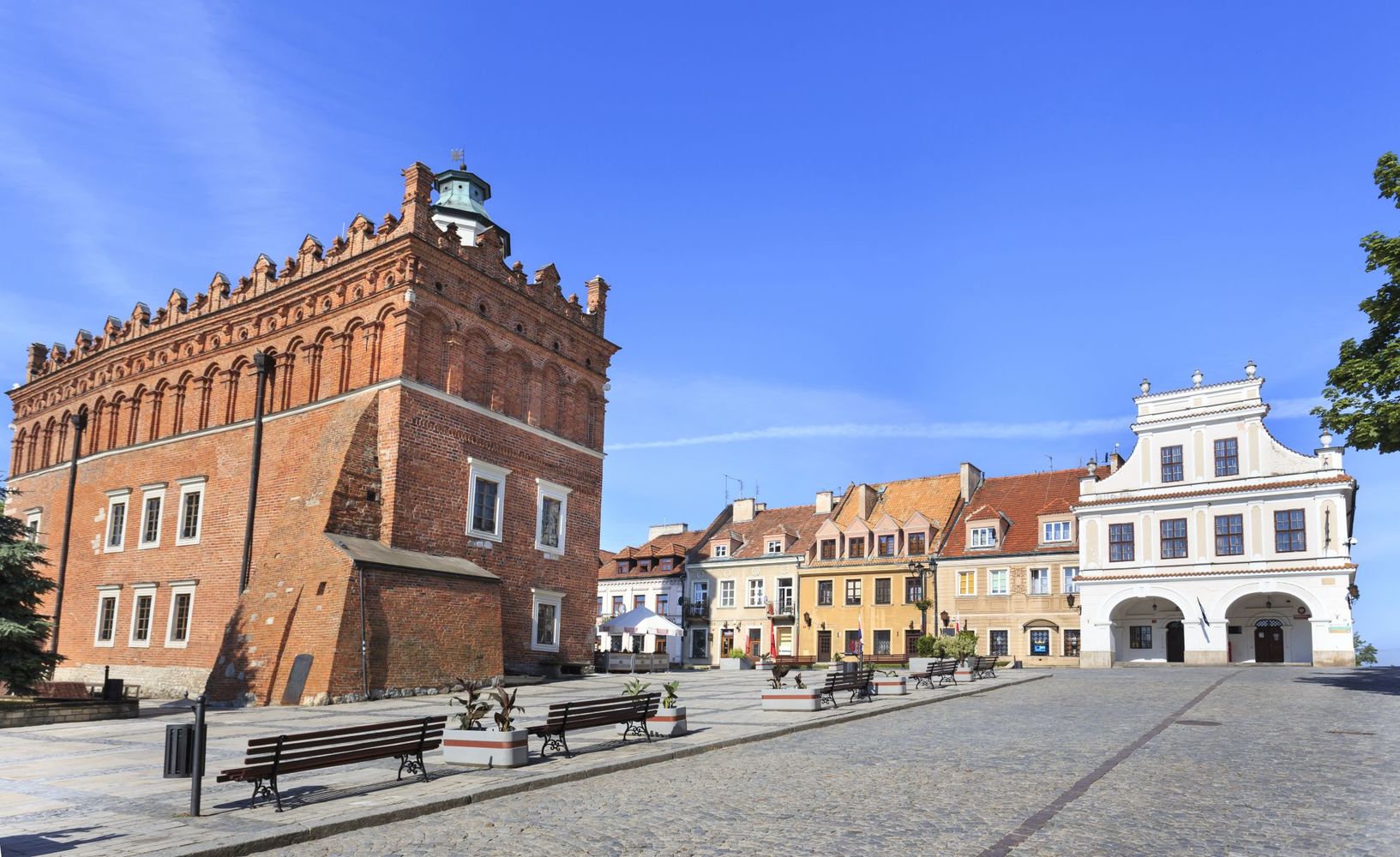 Sandomierz, joyaux gothique de la région Świętokrzyskie